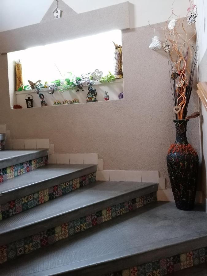 Bianco Apartment Sopron Bagian luar foto